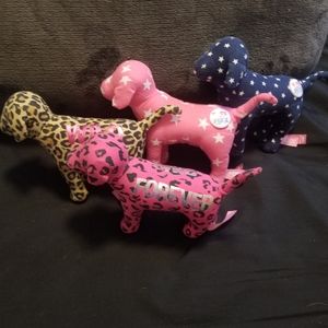 Victoria secrect dogs